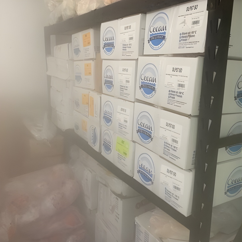 freezer2